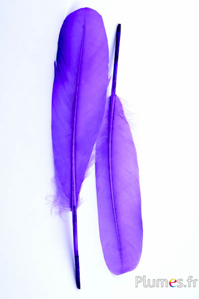 Cygne Soie - 25-30 cm - violet